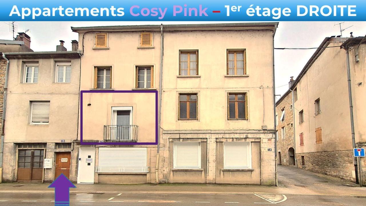 Appartement Cosy Pink Salins Les Bains Екстер'єр фото